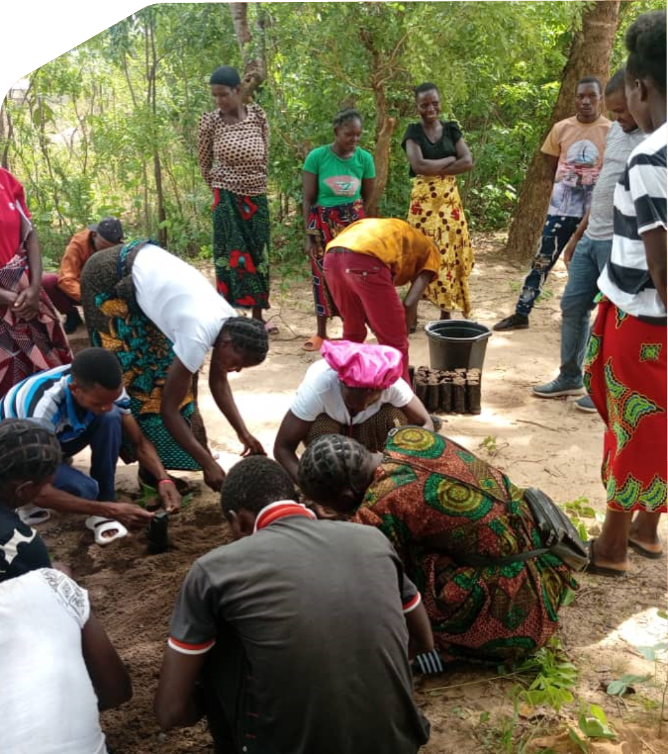 LDWDA community