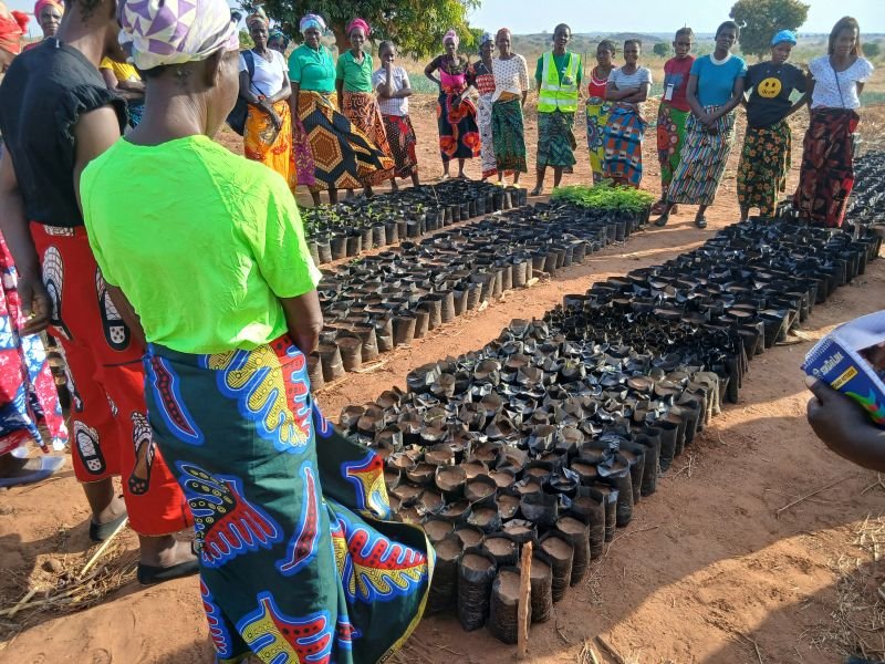 Economic empowerment
